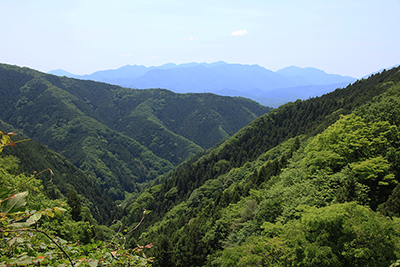 山の神に向かって登っている登山道から見た丹沢方面の写真