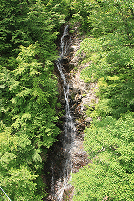 三頭大滝の写真