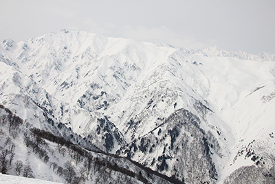 地蔵の頭から見た唐松岳と八方尾根、白馬三山の写真