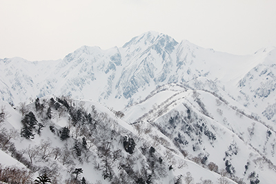 五竜岳と遠見尾根の写真