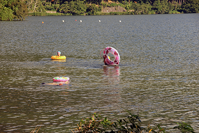 湖で泳いでいる子どもたちの写真