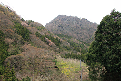 大円地登山口から見た奥久慈男体山の写真
