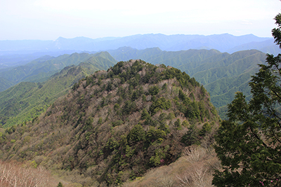 飛龍山から武甲山までの山並みの写真