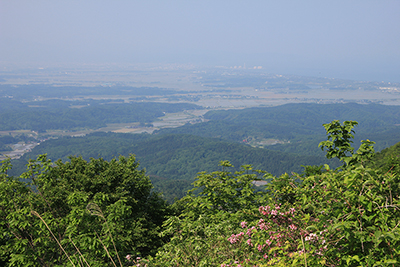 水野林道登山口から見た頸城平野の写真