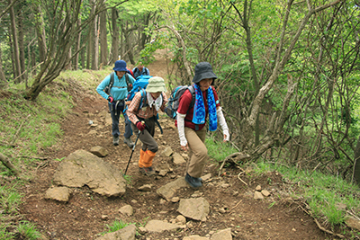 イタツミ尾根の登山道を歩いている写真