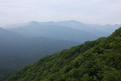 イタツミ尾根から見た塔ノ岳、丹沢山方面の写真