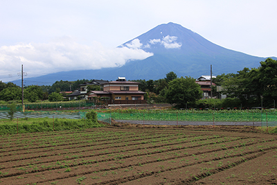 大田和バス停近くの畑から見た富士山の写真