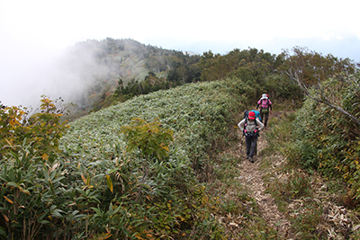 茶臼山荘への尾根道を歩いている写真