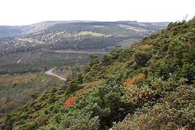 茶臼岳山頂から見た八幡平山頂方面の写真