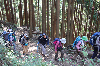 植林帯を登る中間グループの写真