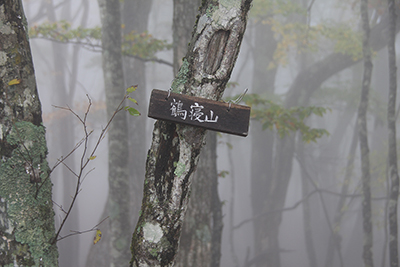 木に針金でかけられた鶴寝山の山頂標識