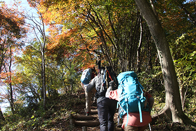 紅葉の美しいところを登っている先頭の３人の写真