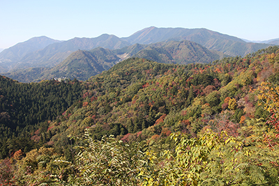 八重山山頂から見た扇山と権現山方面の写真