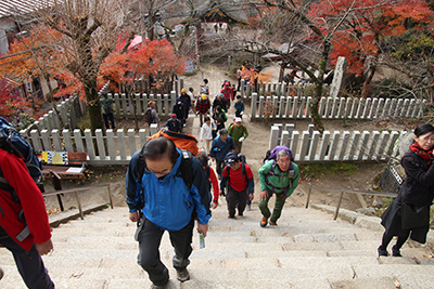 筑波山神社の階段を登っている写真