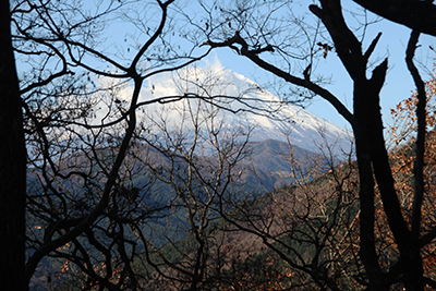 標高550ｍの尾根上から見えた富士山の写真