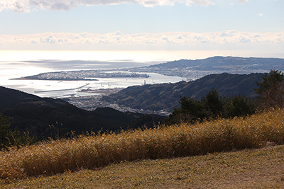 山頂から見た三保の松原方面の写真