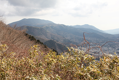 乙女峠から見た明神ヶ岳方面の写真
