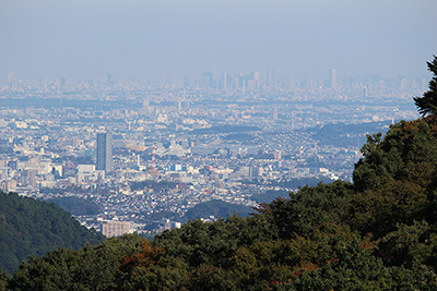 新宿の高層ビル群とスカイツリー方面の写真