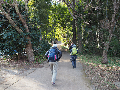 Iさんが撮影した竹林への道を歩いている写真