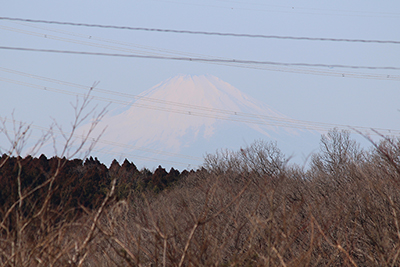 うっすら見えた富士山の写真