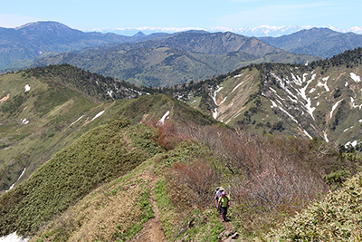 志賀高原と北アルプスの山々を背に山頂直下の稜線を上っている写真
