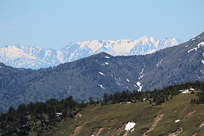 山頂から見た唐松岳・不帰岳・白馬鑓ヶ岳・杓子岳の写真