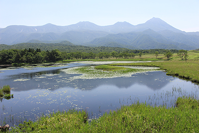 １湖と羅臼岳からオッカバケ岳方面の写真