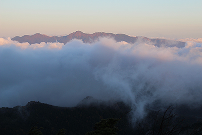 朝日に染まり雲海に浮かぶ八ヶ岳の写真