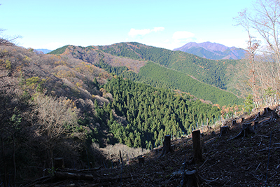笹尾根と三頭山の写真