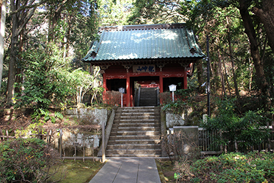 日本寺の仁王門の写真