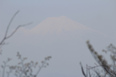 かすかに見えた富士山の写真