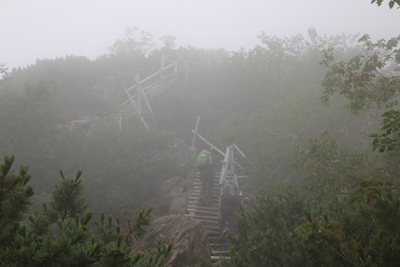 深い霧の中で次々に現れる梯子を登っている写真