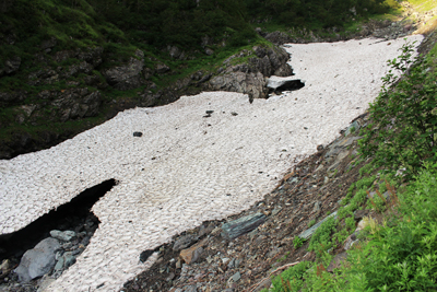 八本歯沢の雪渓の写真