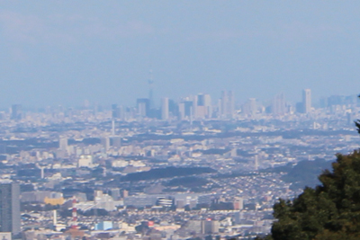 小仏峠から見た新宿副都心の高層ビル群とスカイツリーの写真