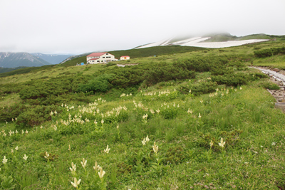 どんより曇った薬師岳方面と五色ヶ原山荘の写真