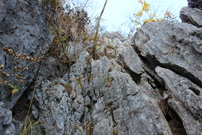 西岳上級コースの下部の岩場の写真