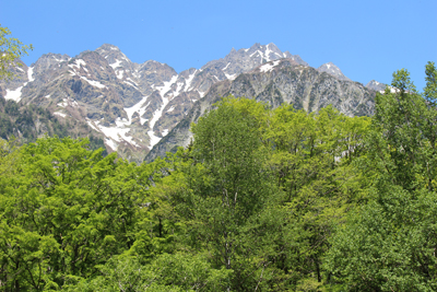 徳沢から見た前穂東壁と明神岳の写真