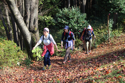 仙元山見晴らし公園内の落ち葉の道を歩いている写真