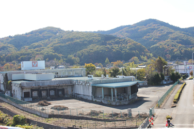 陸橋の上から見た仙元山の写真