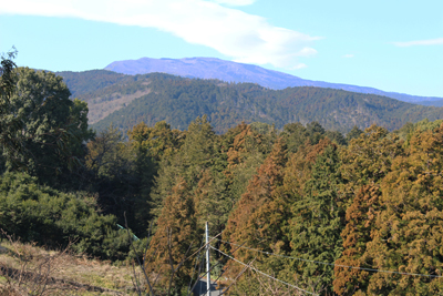 いこいの森の広場から見た明神ヶ岳の写真