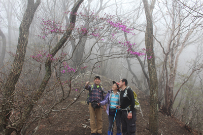 笹子峠方面の尾根でミツバツツジを見ているメンバーの写真