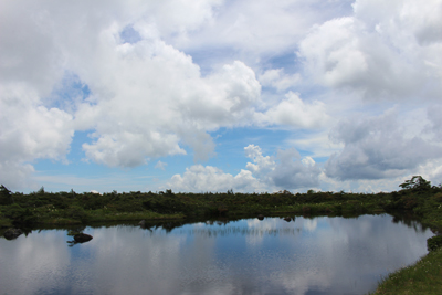 景場平の池と積雲のたくさん浮かぶ空の写真