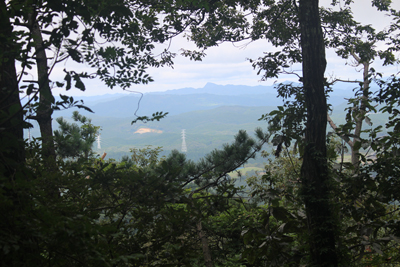 樹林の間から見える奥久慈男体山と八溝山方面の写真