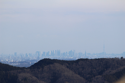 遠くに見える新宿副都心のビル群とスカイツリーの写真