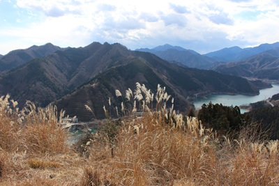 南山山頂から見た仏果山、高取山、大山、三ノ塔の写真