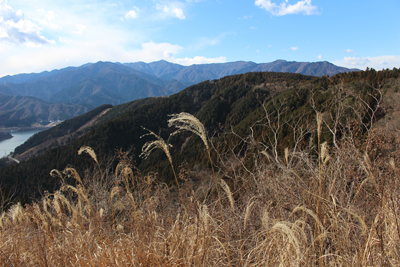 南山山頂から見た蛭ヶ岳、丹沢山方面の写真