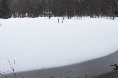 純白の雪原の写真