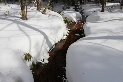 雪の中を流れる小川の写真