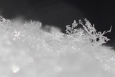 積雪の表面の雪の結晶の写真