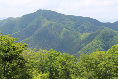 陣馬山山頂から見た生藤山の写真